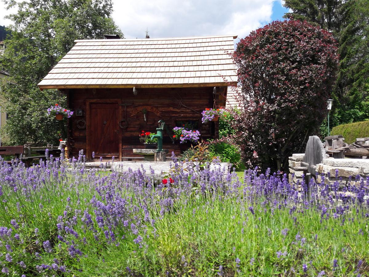 Hotel Stegmuehlhof Mauterndorf  Dış mekan fotoğraf
